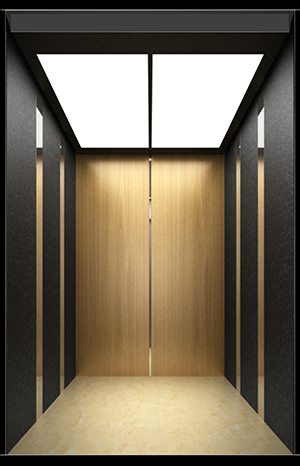 陶然田園·傲(G2DC058）選配款