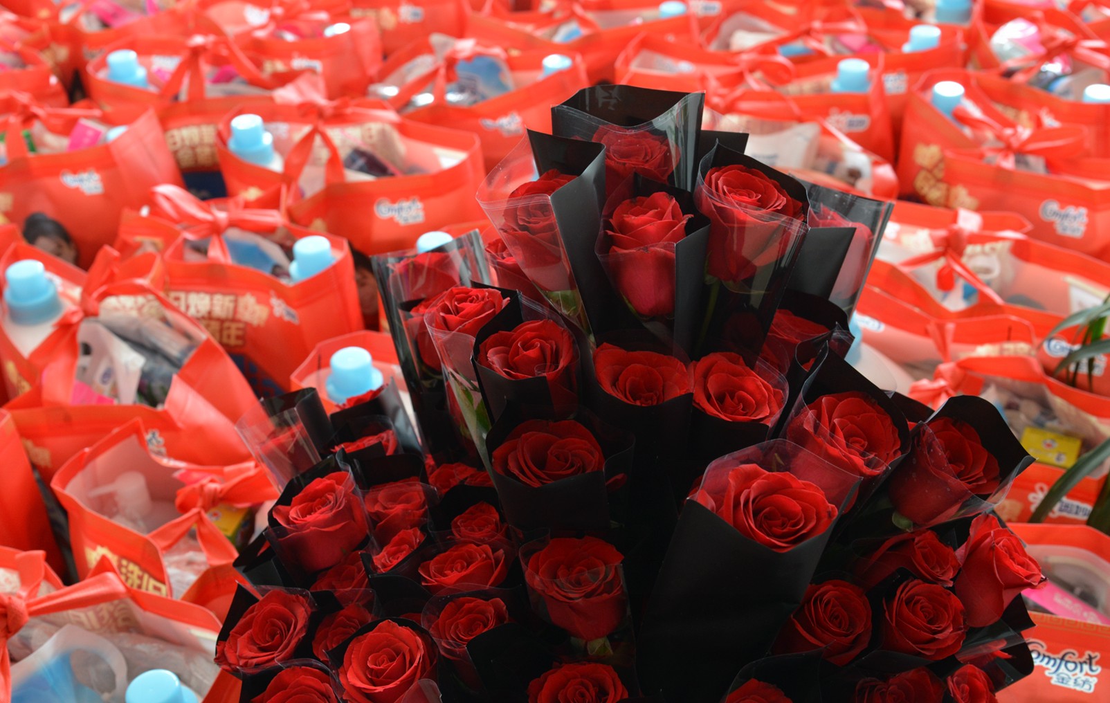 世界因“她”而更美——慶祝三八婦女節(jié)